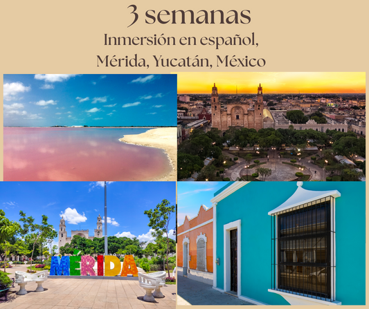 3 SEMANAS INMERSIÓN ESPAÑOL MÉRIDA YUCATÁN MÉXICO, 45 HORAS DE CLASE (PRESENCIAL). A PARTIR DEL 12 DE ENERO DEL 2026
