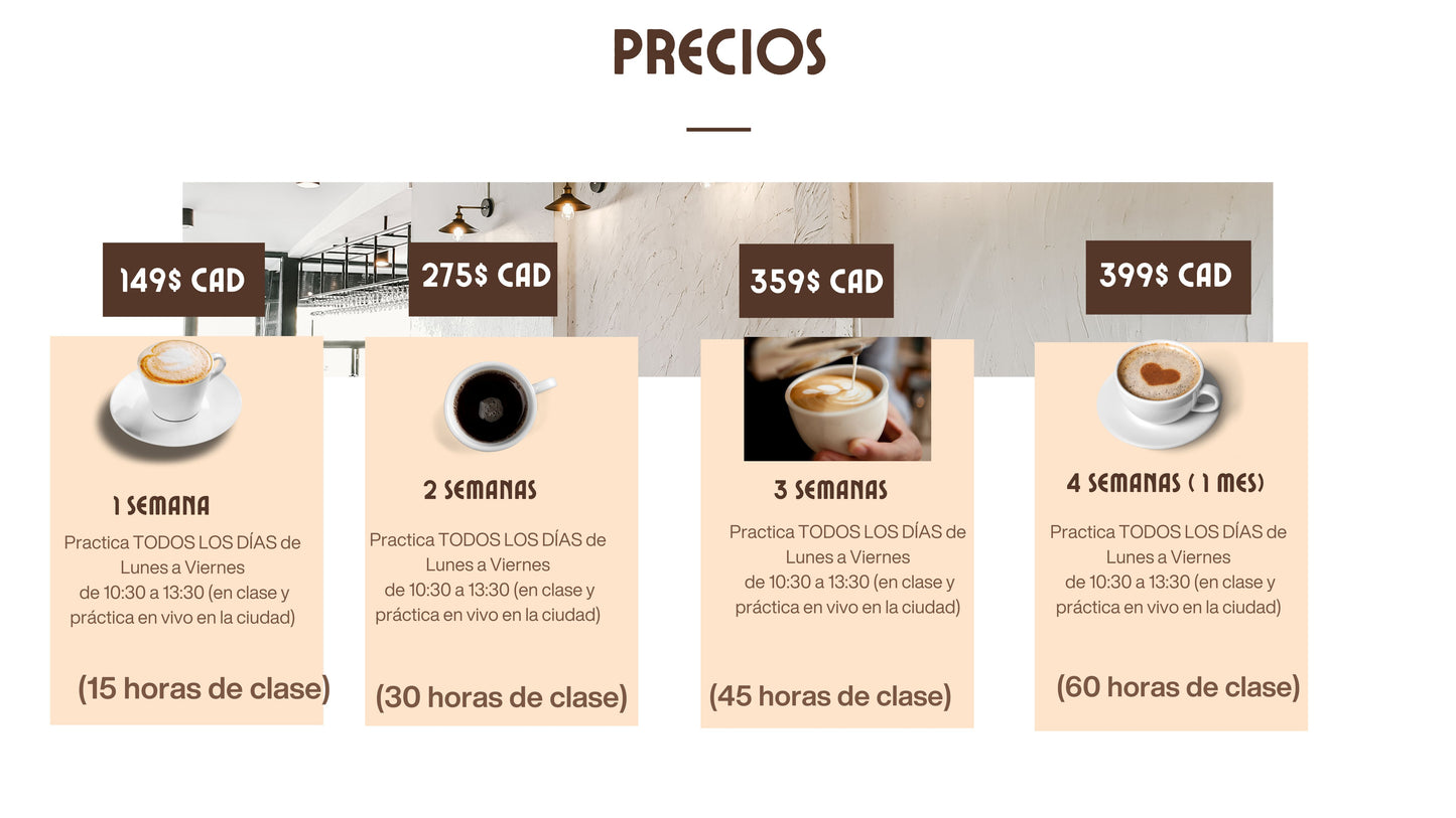 1 SEMANA INMERSIÓN ESPAÑOL EN MÉRIDA, YUCATÁN, MÉXICO 15 HORAS DE CLASE (PRESENCIAL). A PARTIR DEL 12 DE ENERO DEL 2026