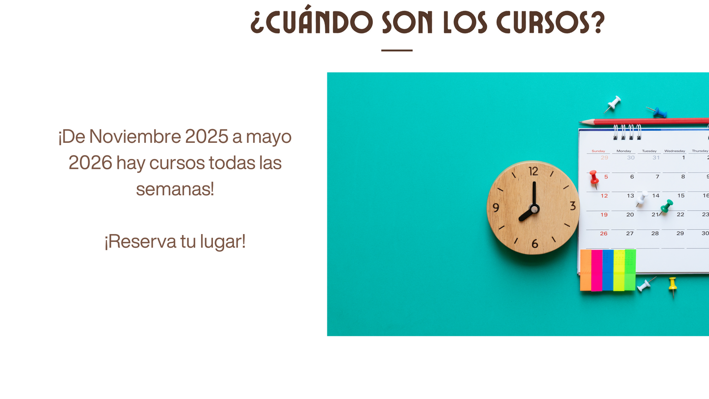 1 SEMANA INMERSIÓN ESPAÑOL EN MÉRIDA, YUCATÁN, MÉXICO 15 HORAS DE CLASE (PRESENCIAL). A PARTIR DEL 12 DE ENERO DEL 2026