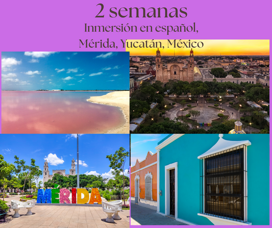 2 SEMANAS INMERSIÓN ESPAÑOL MÉRIDA YUCATÁN MÉXICO, 30 HORAS DE CLASE (PRESENCIAL). A PARTIR DEL 12 DE ENERO DEL 2026