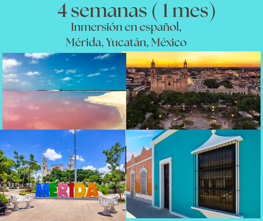 4 SEMANAS INMERSIÓN ESPAÑOL MÉRIDA YUCATÁN MÉXICO, 60 HORAS DE CLASE (PRESENCIAL). A PARTIR DEL 12 DE ENERO DEL 2026