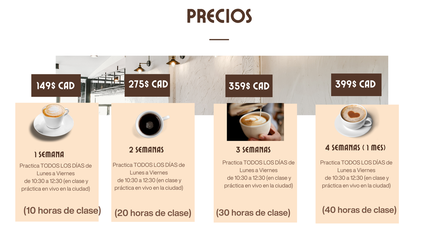 4 SEMANAS INMERSIÓN ESPAÑOL MÉRIDA YUCATÁN MÉXICO, 40 HORAS DE CLASE (PRESENCIAL). A PARTIR DEL 12 DE ENERO DEL 2026